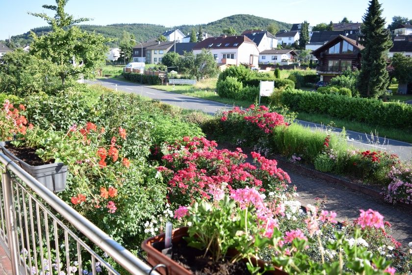 Weingut & Gästezimmer Raevenhof