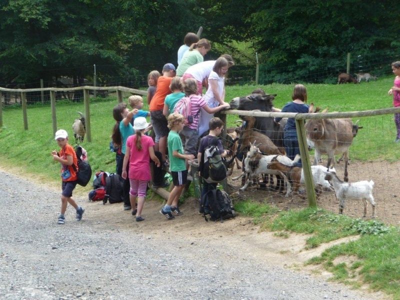 Wild- und Freizeitpark Westerwald