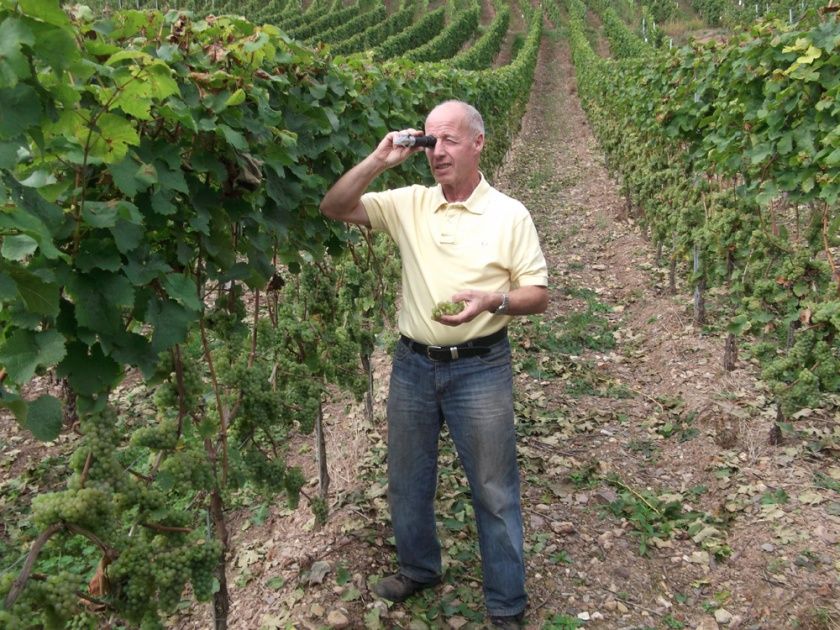 Weinstube Zur Laube Peter Terges in Trier - Mosel - Weingut