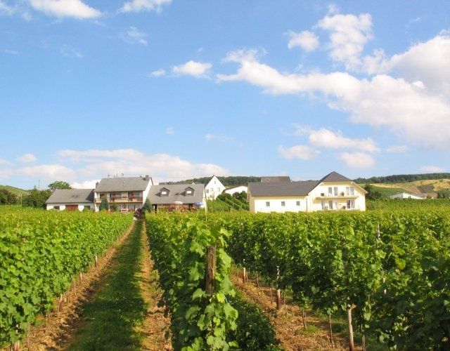 Ferienweingut Boujong & Pension Moselblick