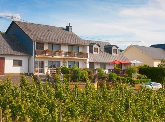 Ferienweingut Boujong & Pension Moselblick