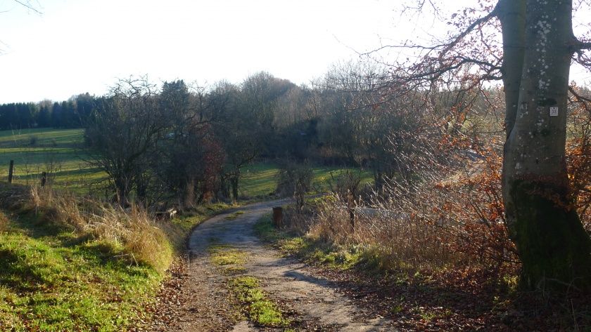 Kleine Wanderung hinter dem Haus