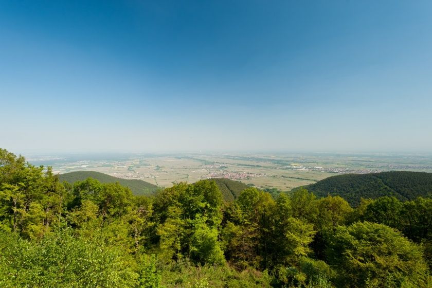 Kalmit bei Maikammer