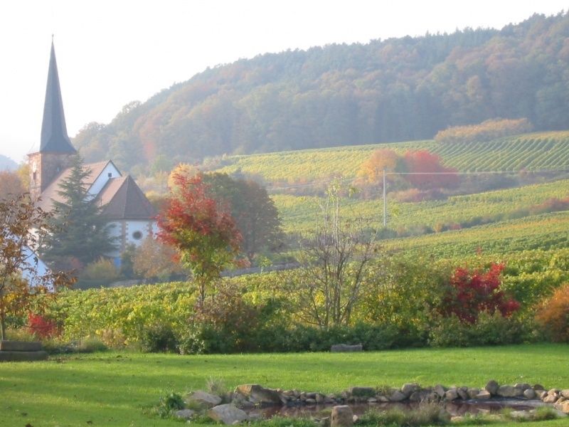 Blick aus der Weinprobierstube