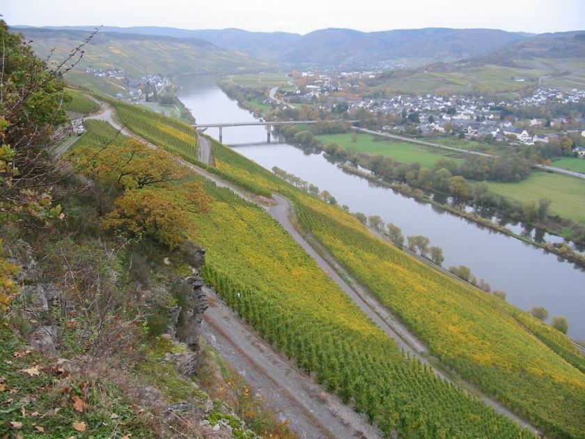 Moselblick zur Burg Landshut