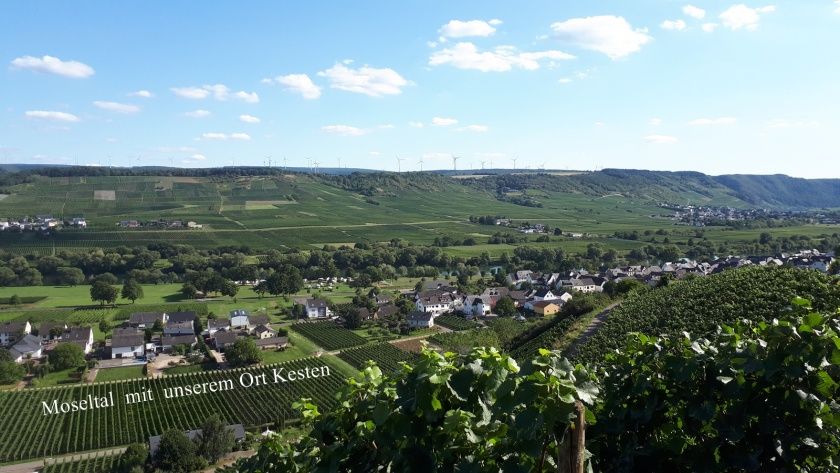 Weingut Paul Barthen - Ferienwohnung und Gästezimmer