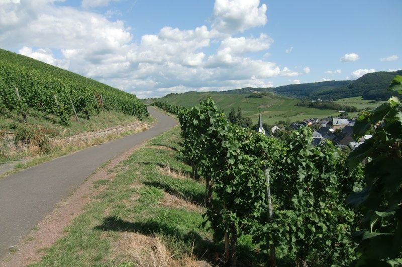 Ferienwohnungen Walter & Ursula Kühl - Weingut Ignaz Kühl