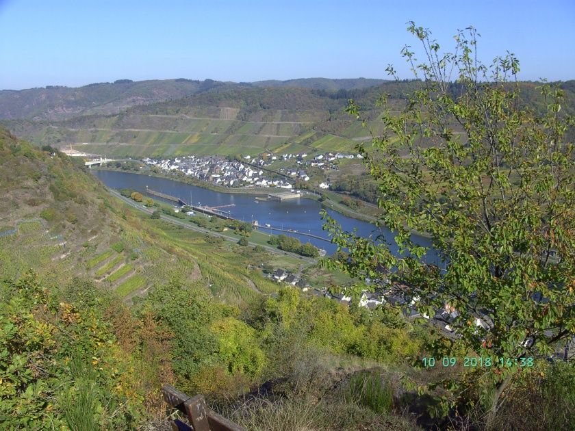 Ferienwohnung Moselblick (Mittelmosel)