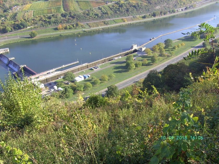 Ferienwohnung Moselblick (Mittelmosel)