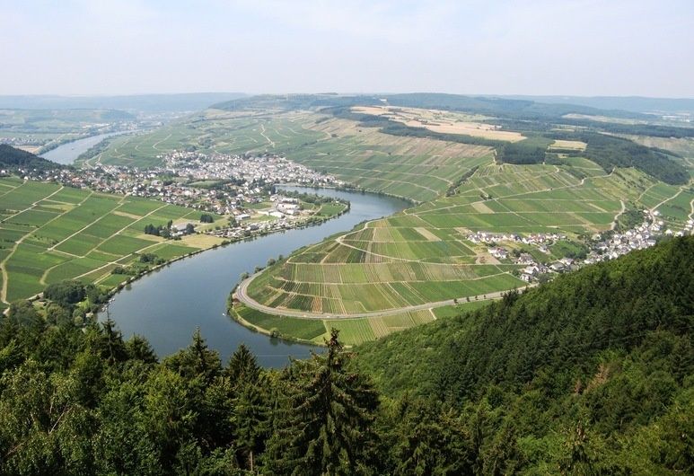 Classisches Weingut Hoffranzen mit Gästezimmern