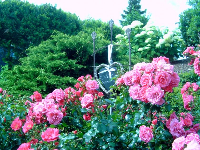 Ferienwohnung Rivaner im Gästehaus Heidi an der Mosel