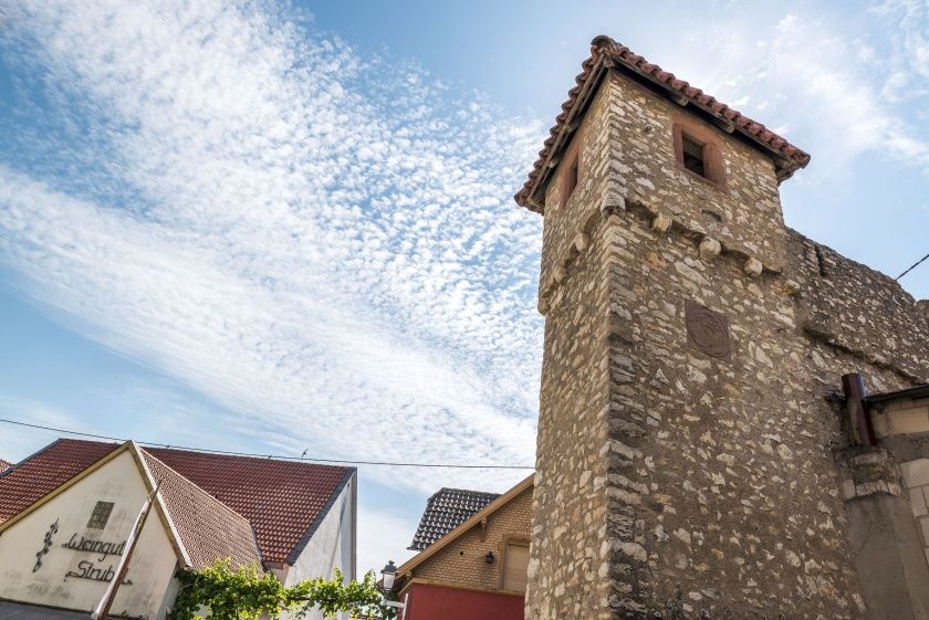 Fleckenmauer Flörsheim-Dalsheim