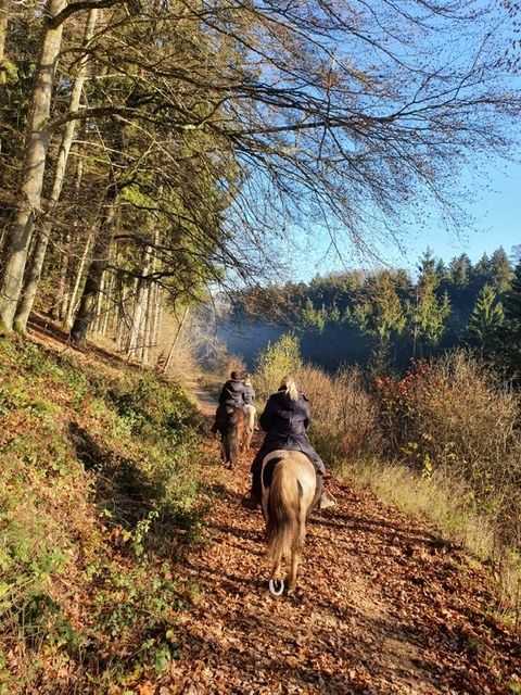 Unser Ranchgarten