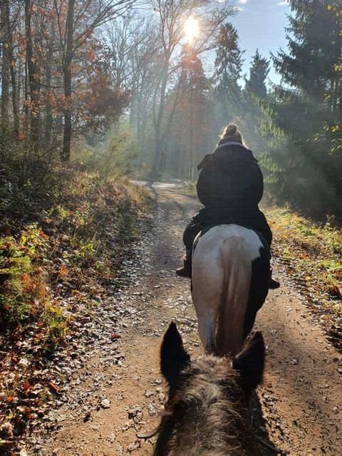 Schöner Ausritt im Herbst