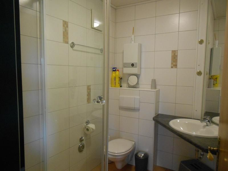 Ferienwohnung Froschkönig