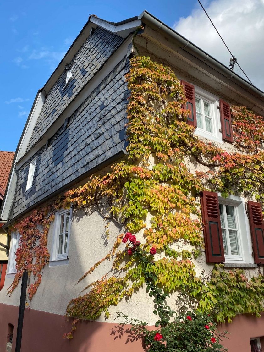 Ferienhaus am Schloss - 4*Ferien im Denkmal