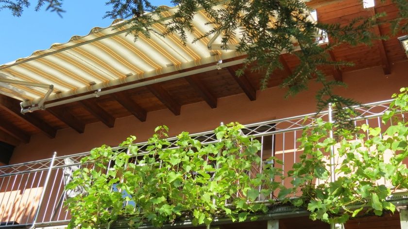 Balkon Süd/ West mit Moselblick Fewo Veilchen Landhaus Mosel