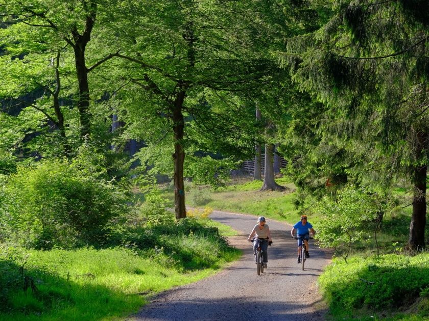 Ferienwohnung Dörr am Wiesensee