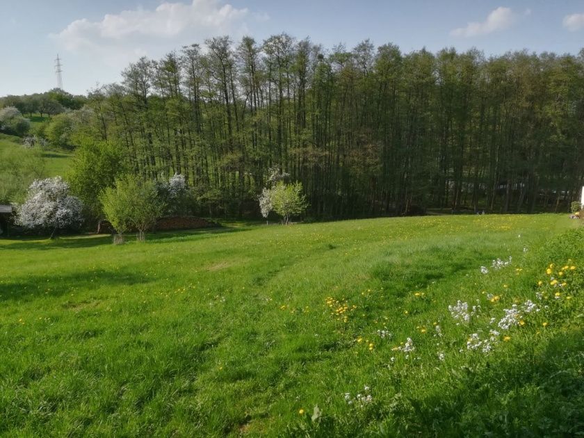 Ferienwohnung Tromm-Blick