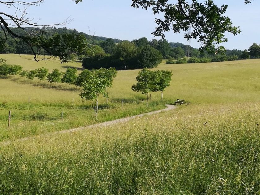 Ferienwohnung Tromm-Blick