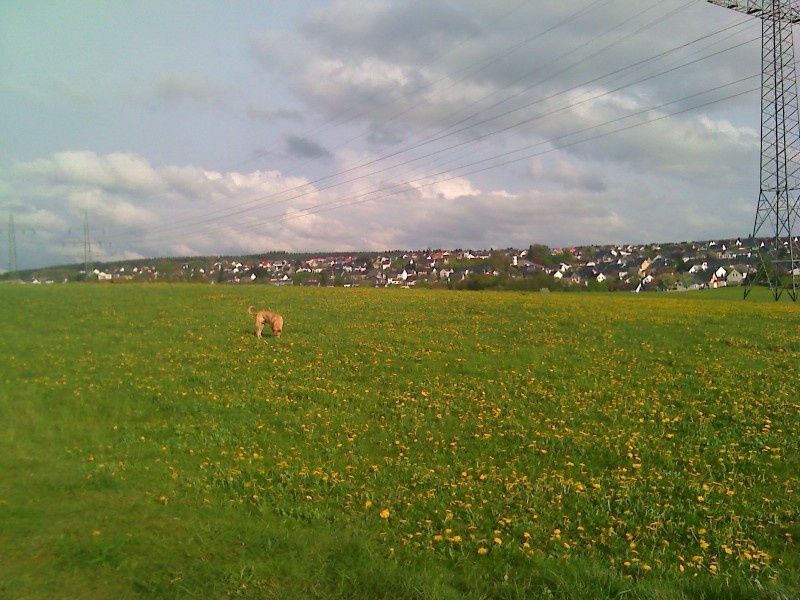 Ferienwohnung Zum Findling