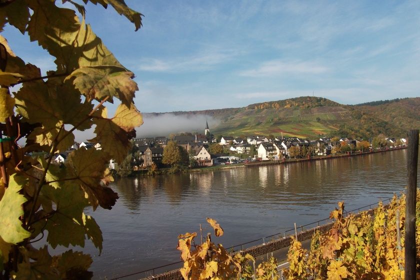 Blick auf Ellenz