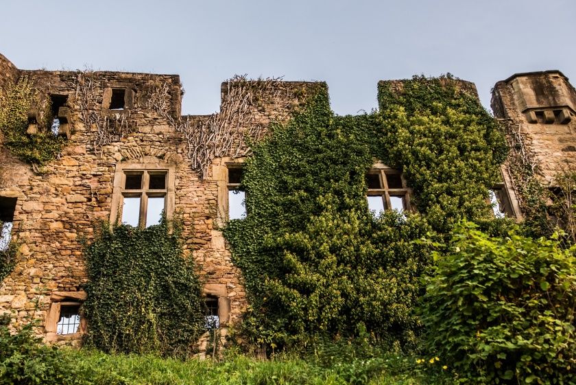 Burg Lichtenberg - Pfälzerwald