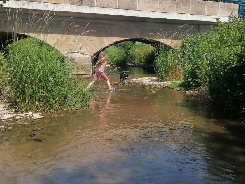 Erlebnisurlaub auf dem Langwieserhof