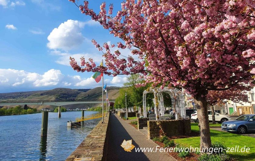 Moselpromenade in Zell