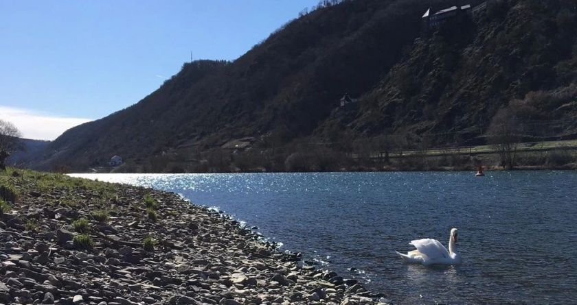 Camping Burgen - Campingplatz an der Mosel