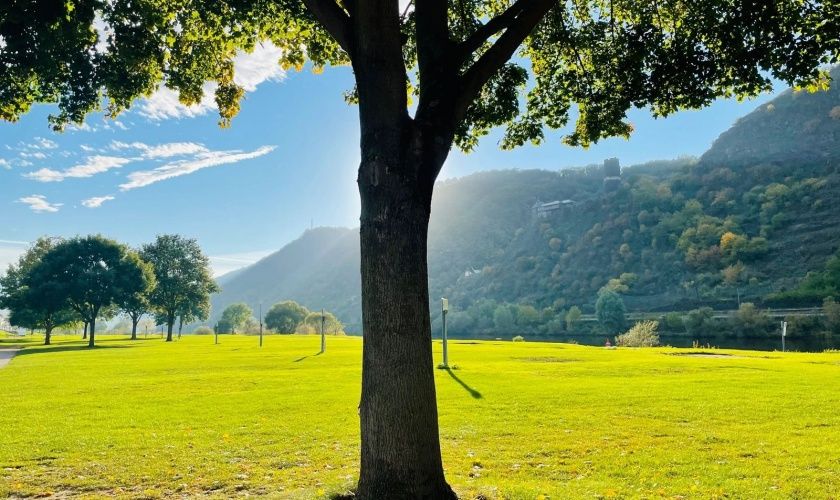 Camping Burgen - Campingplatz an der Mosel