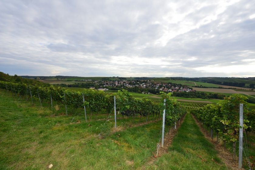 Weingut & Gästehaus Schweickardt