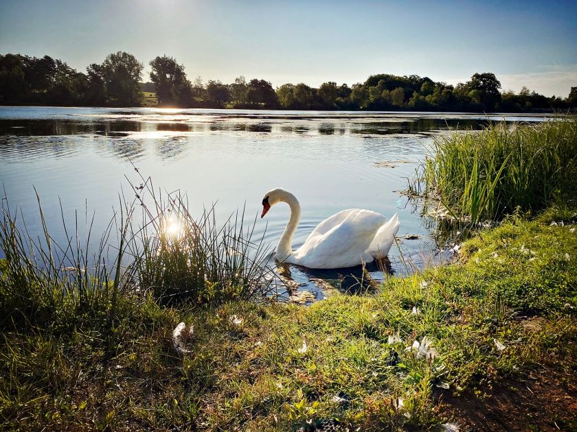 Wäller Camp am Seeweiher Mengerskirchen