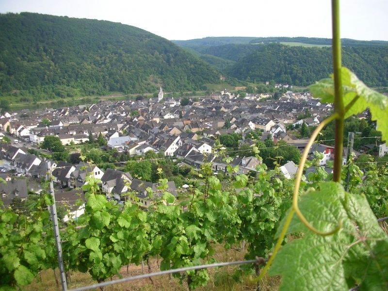 Weingut & Gästezimmer Sturm