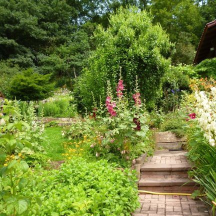 Treppenaufgang zum Tiny House am Blumenmeer (30 Treppenstufen!)