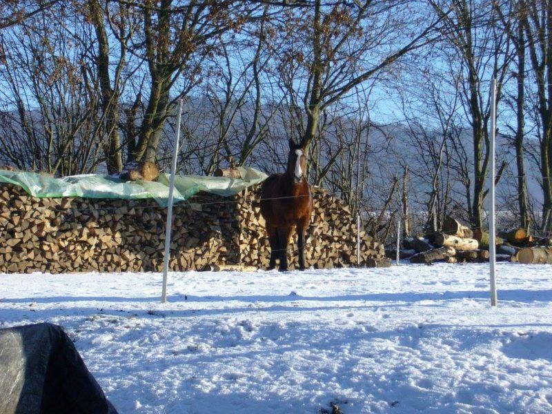 Campingplatz am Bauernhof