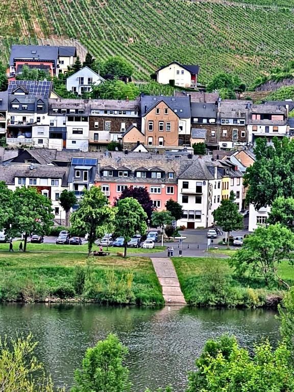 Blick auf Zeltingen