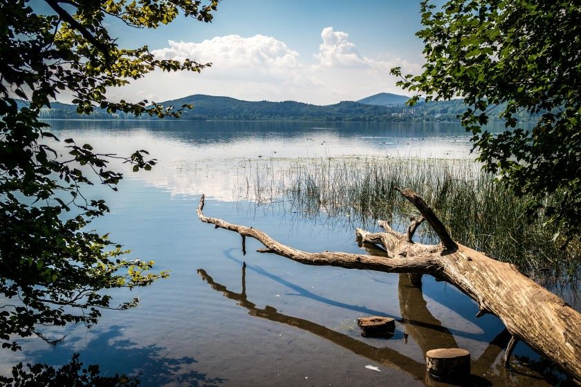 5 Sterne Ferienhaus Tommy am idyllischen Waldsee Rieden