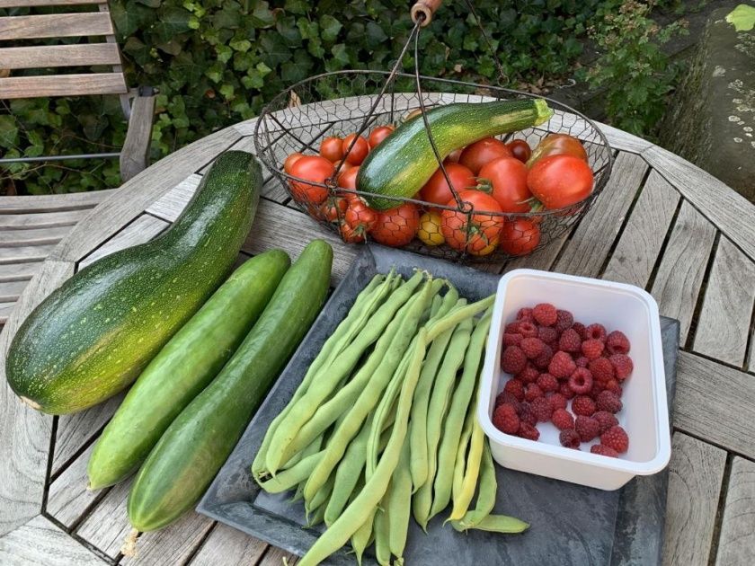 Ferienwohnungen auf dem Schöneberger Bauernhof