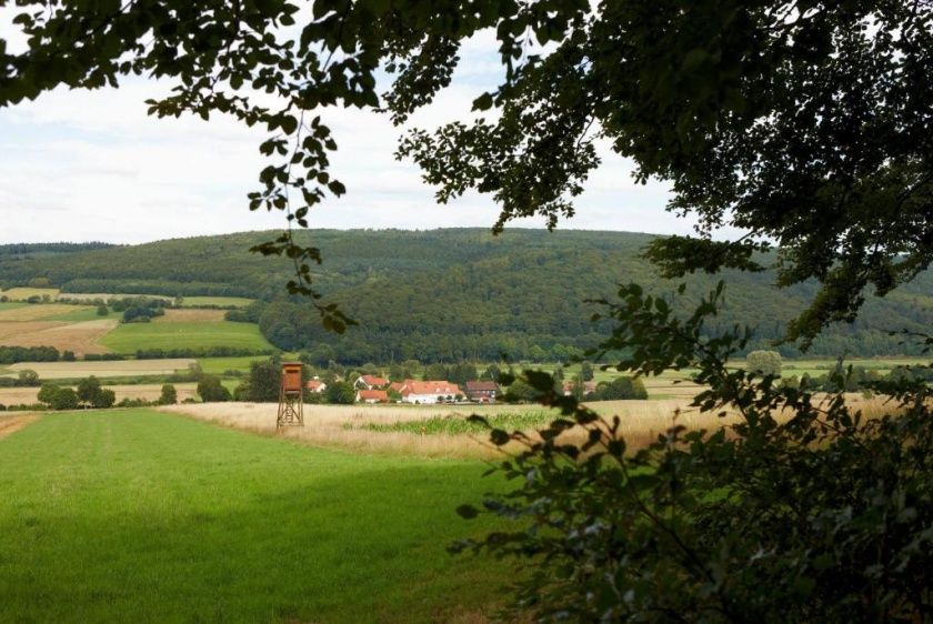 Gasthaus Zum Lindenwirt