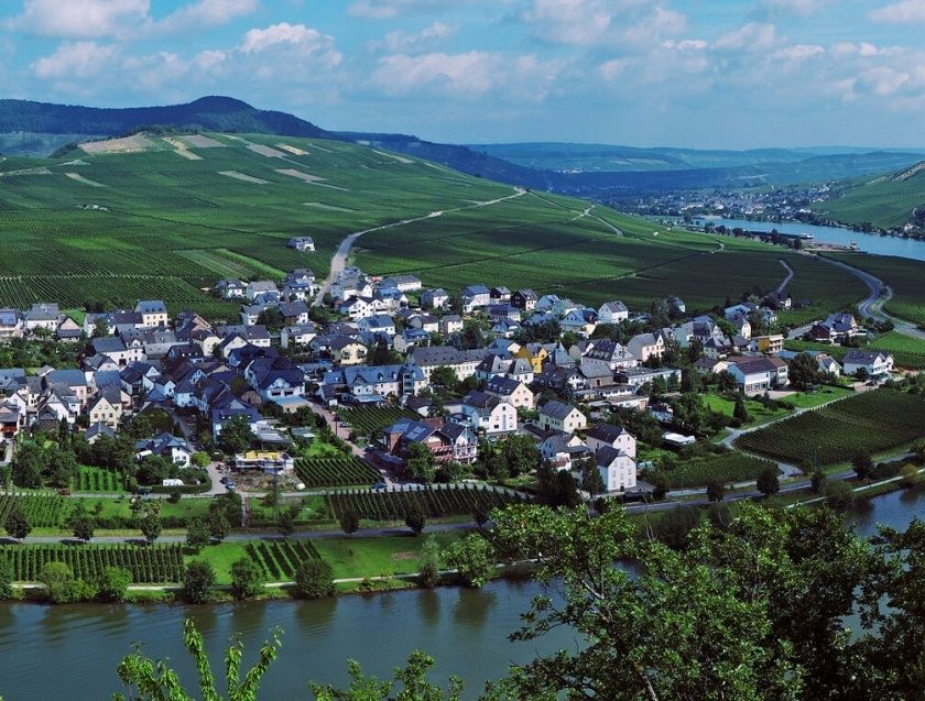 Gästehaus Weingut Brennerei Zisch