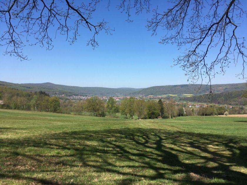 Ferienwohnung Waldblick