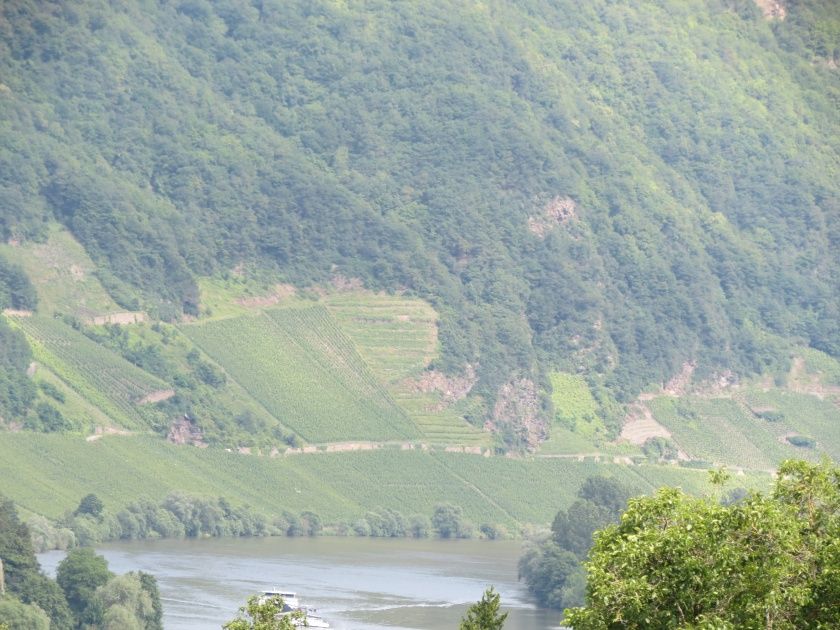 Ausblick von der Fewo Glockenblume ins Moseltal