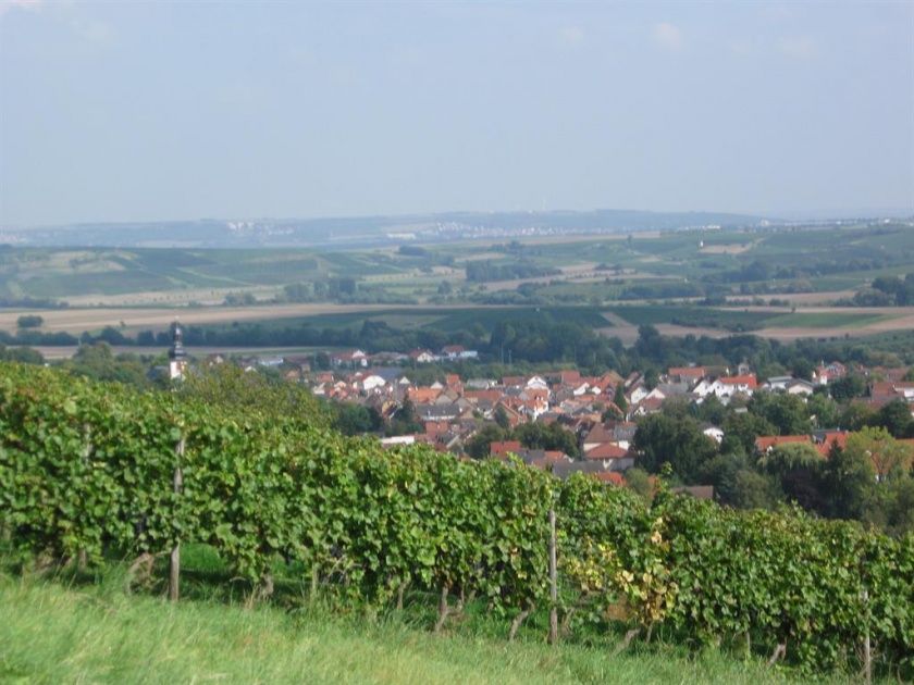 Gästehaus Weinhaus Priester