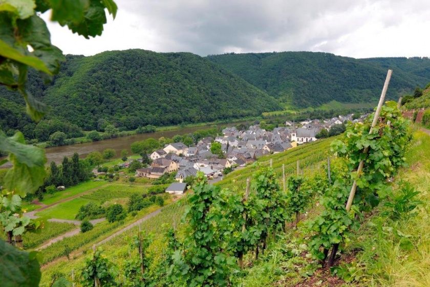 Wein- & Gästehaus M. Bai an der Mosel