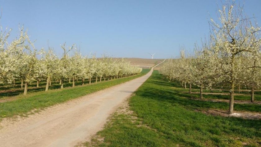 Antjes Ferienwohnungen