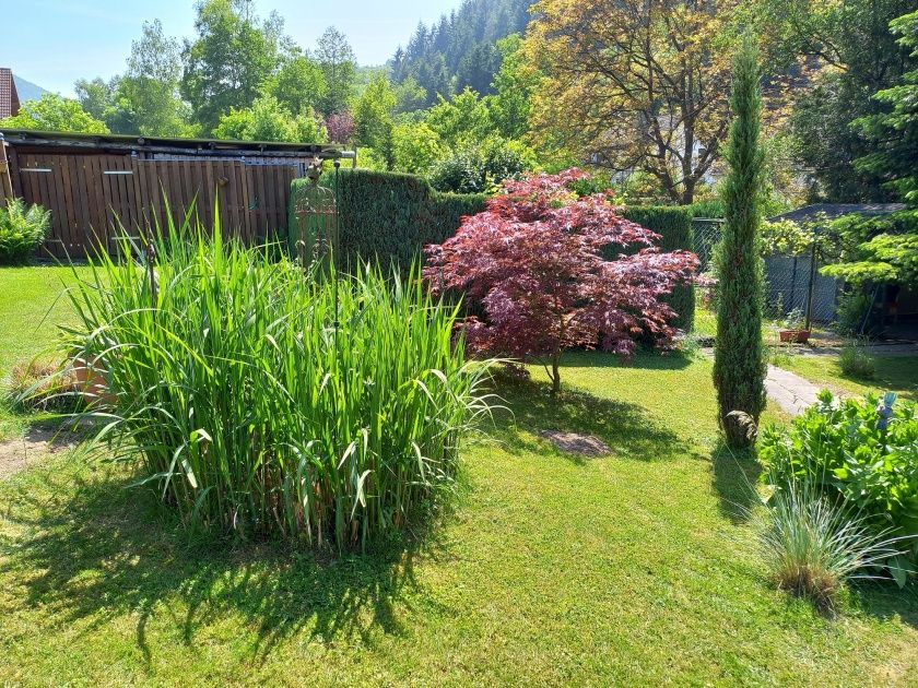 Ferienwohnung Ilse im schönen Ahrtal