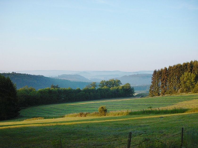 Ferienhaus Omas Häuschen - Urlaub mit Hund in der Eifel