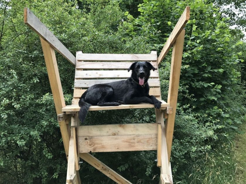 Ferienhaus Omas Häuschen - Urlaub mit Hund in der Eifel