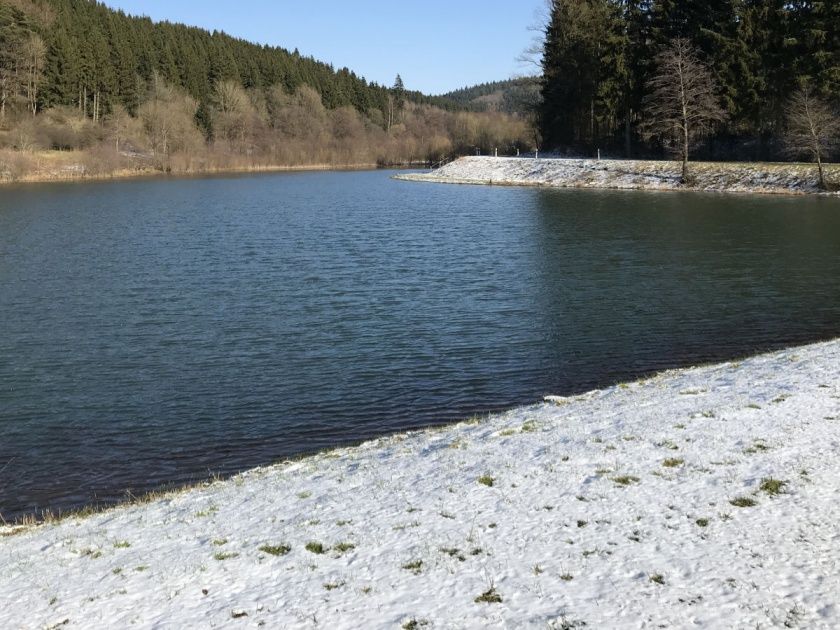 Ferienhaus Omas Häuschen - Urlaub mit Hund in der Eifel